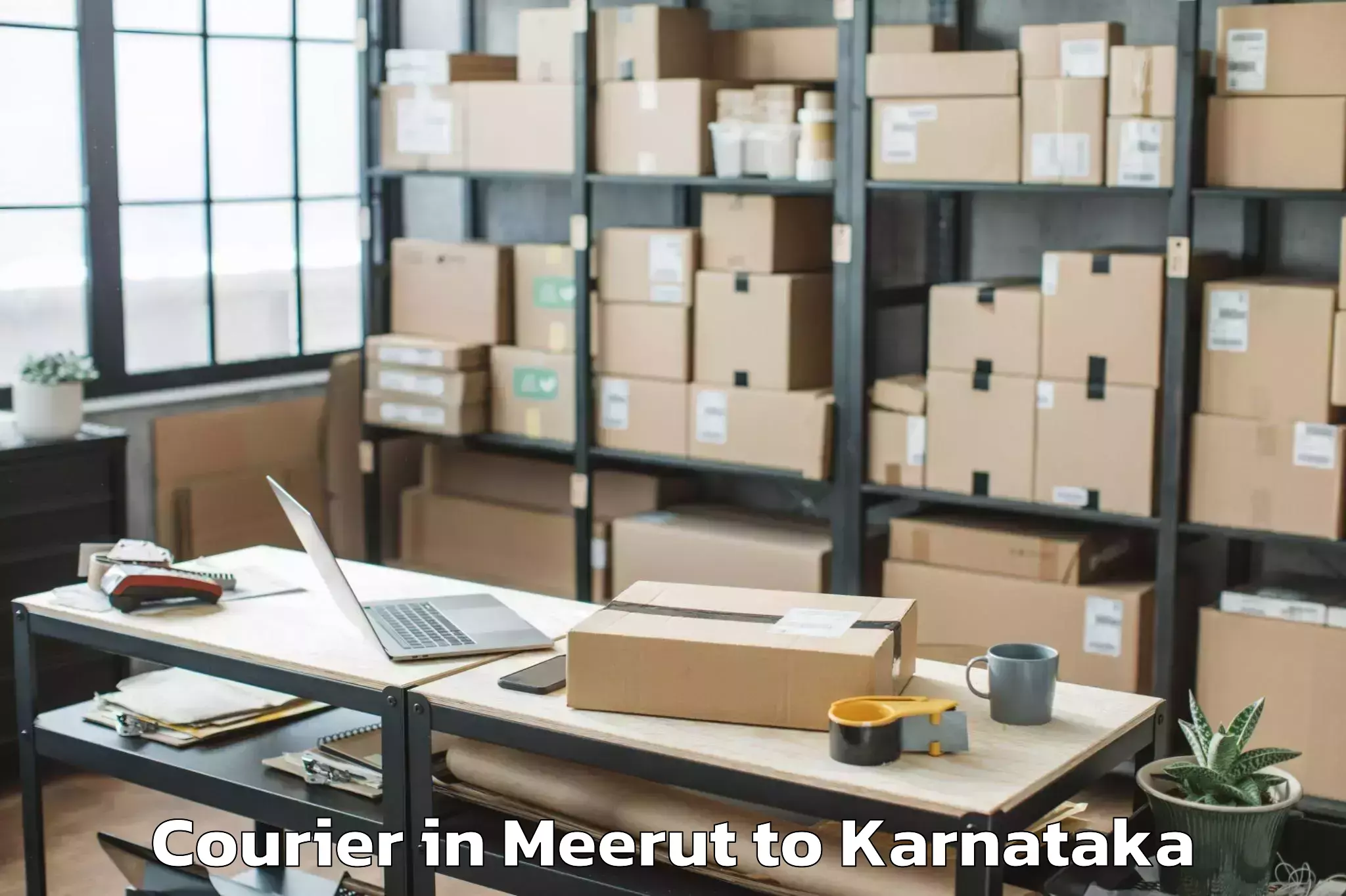 Efficient Meerut to Munirabad Courier